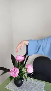 Alisaの画像