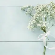 まいの画像