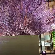 【断捨離中】poruの画像