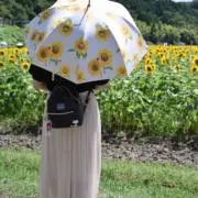 みるここの画像