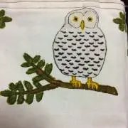ポポチの画像