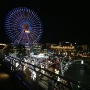 ゆきの画像