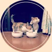 tamaの画像