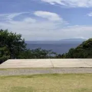 ぽぽ