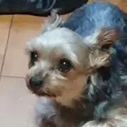 このかのか