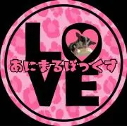 あにまるぼっくす　LOVE
