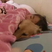 歌楽