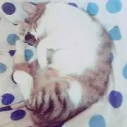 mmm