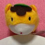 ともちん