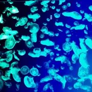 N U ⚘プロフ必読の画像
