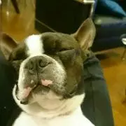 ラテ