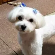 優ちゃん