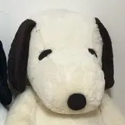 kの画像