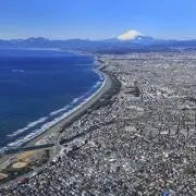 クラリスの画像