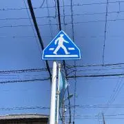 ハヤテの画像