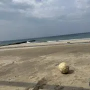 ぽめ。の画像