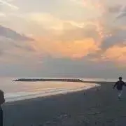 ももの画像