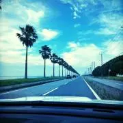 めい(プロフあります)の画像