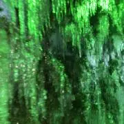 あんりの画像