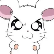 ｻｸﾊﾟﾝ