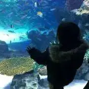 しょうまま☆プロフ必読お願いします。