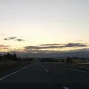 ぽーの画像