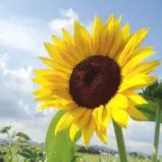 hirorightの画像