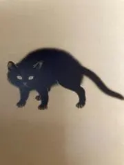 きなこの画像