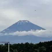 マサの画像
