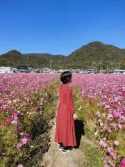 ゆう