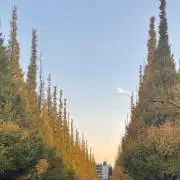 たかりゅの画像