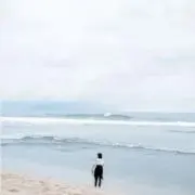 ひまちゃん✨フォロー割あります✨の画像