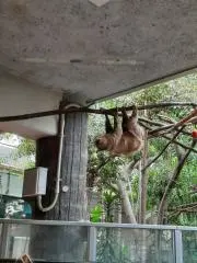プラタマ