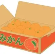 みかんの画像