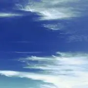 しゅうまゆう