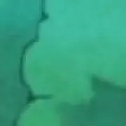 きなこの画像