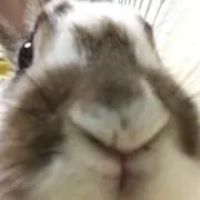 はっこ1223