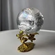 石のつぐみの画像