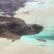 D.エクストリームの画像