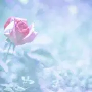 たの画像
