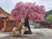 ホシホシ《プロフィール熟読希望》