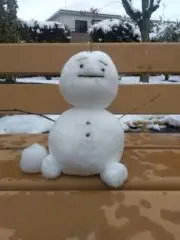 ヤドカリの画像