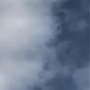 くじらの画像