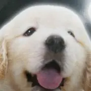 プラザさとうの画像
