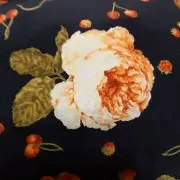 プリン❣️の画像