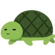 かめのあゆみの画像