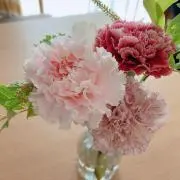 mの画像