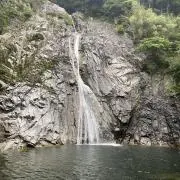 コジコジの画像