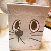 miniの画像