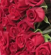 薔薇色の暮らし　おまとめ買い割引致しますの画像